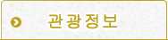 관광 정보