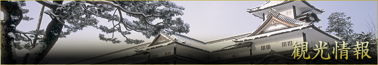 観光情報