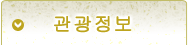 관광 정보